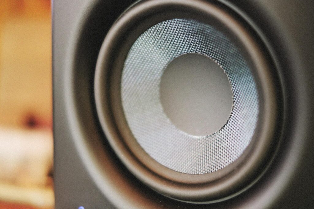 photo of a black speaker